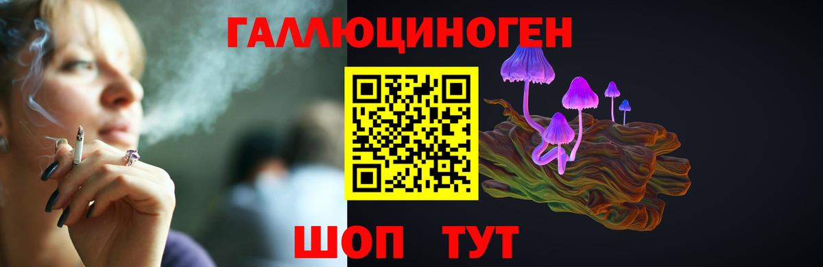где продают   Псилоцибиновые грибы Cubensis  Геленджик  Вход с VPN  Галлюциногенные грибы MAGIC MUSHROOMS 